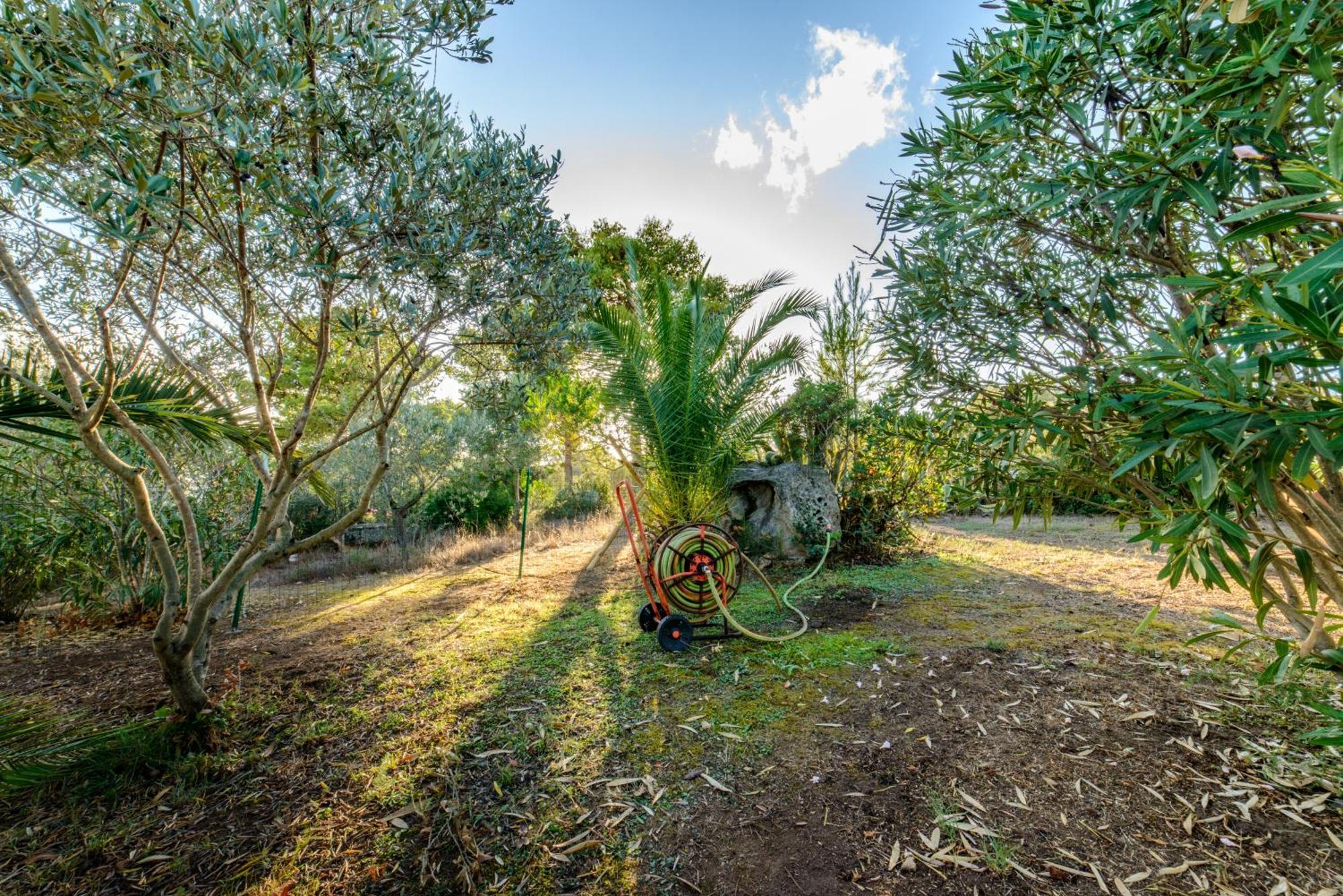 Maravilla Casa Vacanze Olbia Buitenkant foto